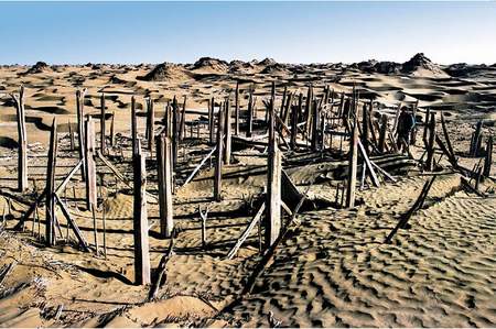 The Niya Site