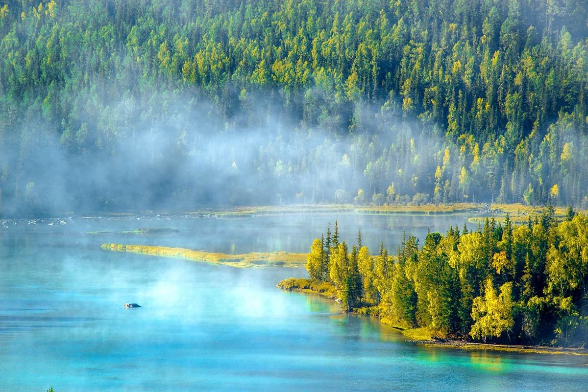 Kanas-5.png Kanas-5.png