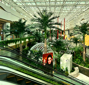 MM3 in Urumqi.jpg MM3 in Urumqi.jpg