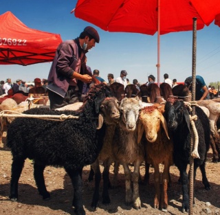 Sunday Bazaar.jpg Sunday Bazaar.jpg