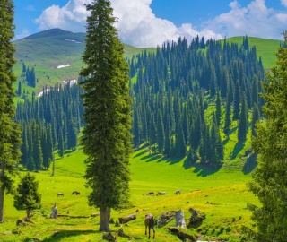 Naraty.jpg Naraty.jpg