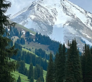 Kalajun.jpg Kalajun.jpg