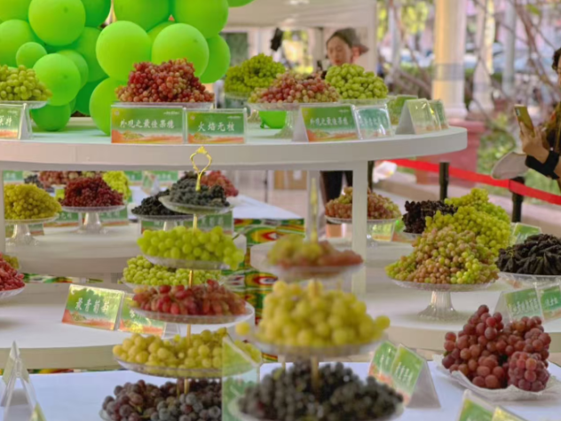 turpan-grape-festival-2.png turpan-grape-festival-2.png