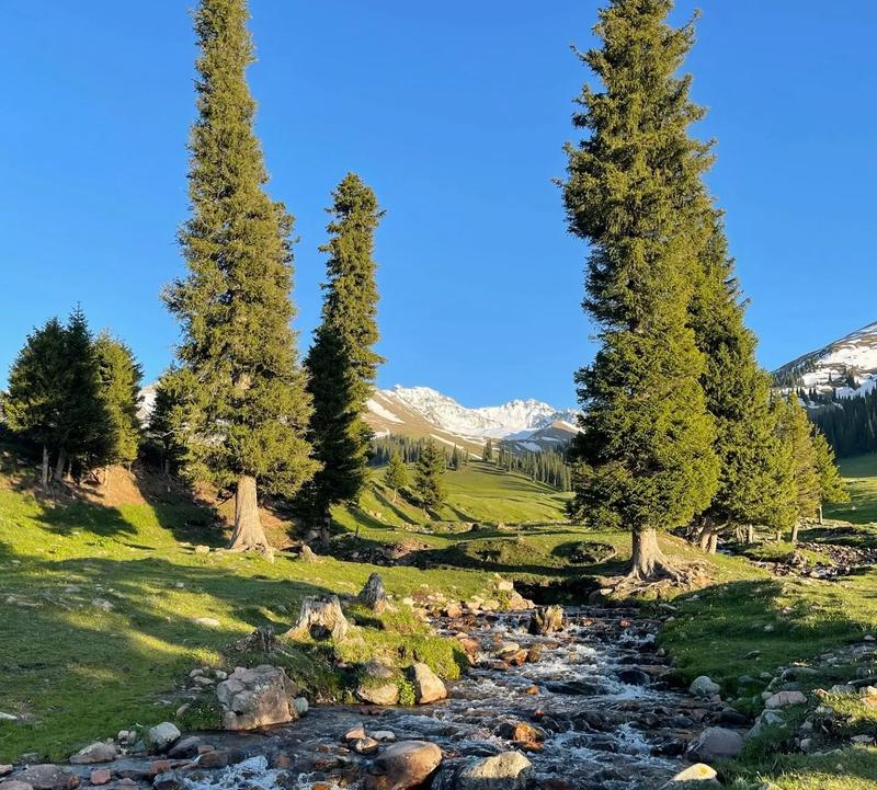 Northern Xinjiang Adventure to Yili Grassland