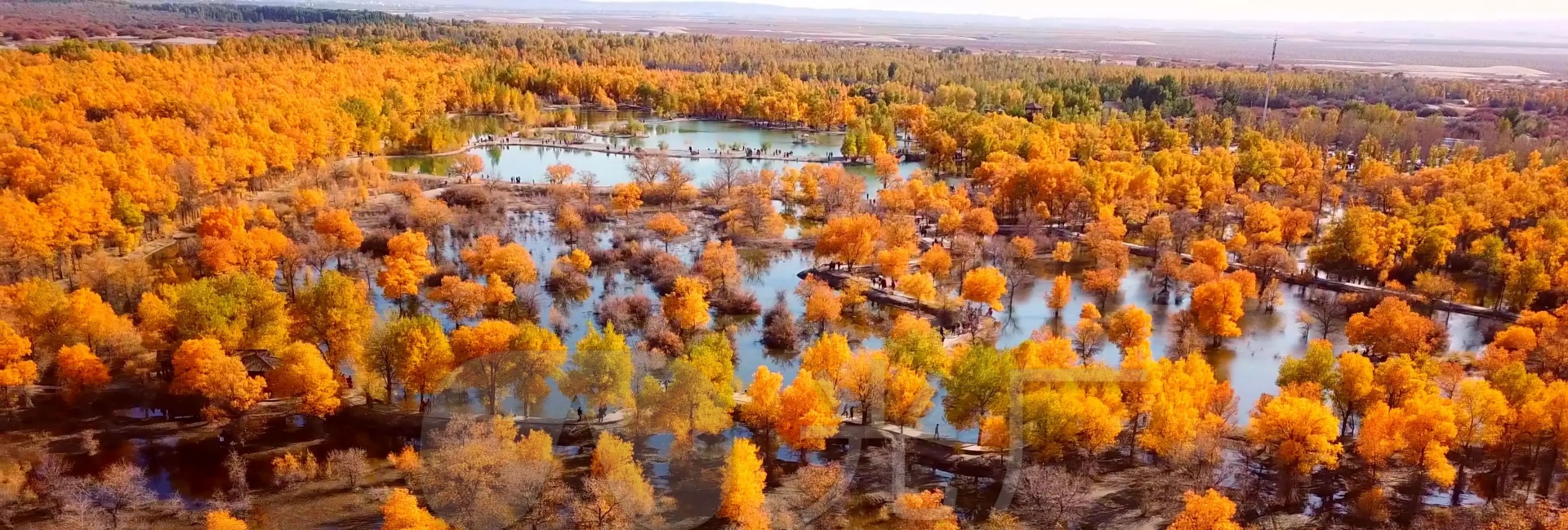 Oriental Express Tours