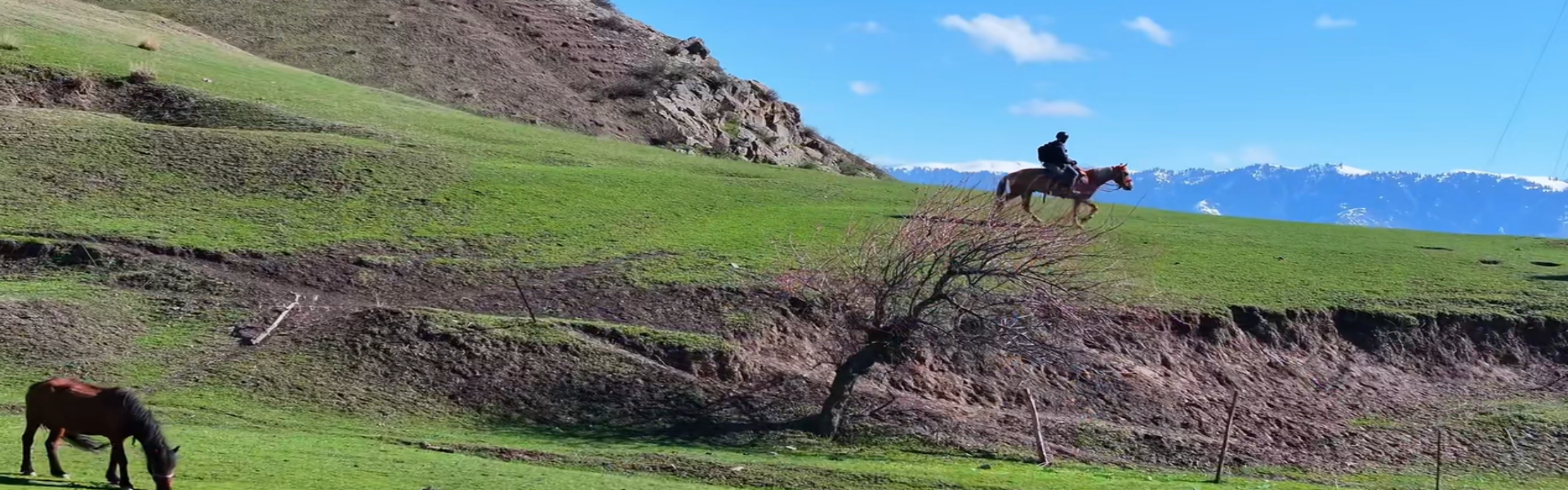 Xinjiang Horseback Riding Tours