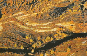 Tarim River