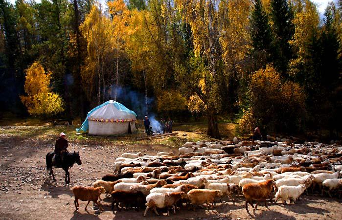 tuva9.jpg tuva9.jpg