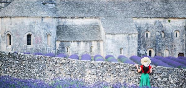 Lavender.jpg.jpg.jpg Lavender.jpg.jpg.jpg