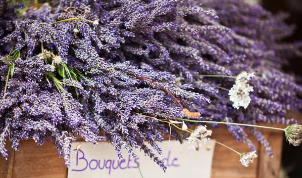 Lavender.jpg Lavender.jpg