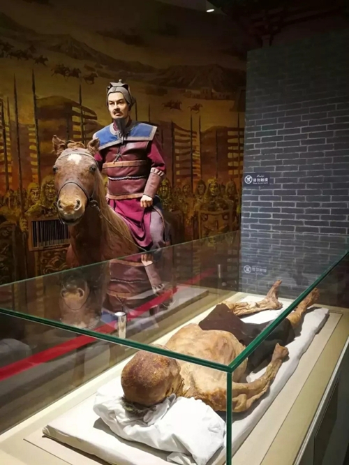 Xingjiang Museum.jpg.jpg.jpg.jpg.jpg.jpg.jpg Xingjiang Museum.jpg.jpg.jpg.jpg.jpg.jpg.jpg