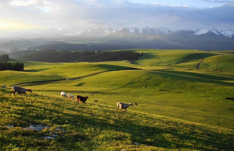 Kalajun Prairie.jpg Kalajun Prairie.jpg